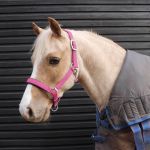 Cob Pony Luxury Padded Headcollar Pink No.7148